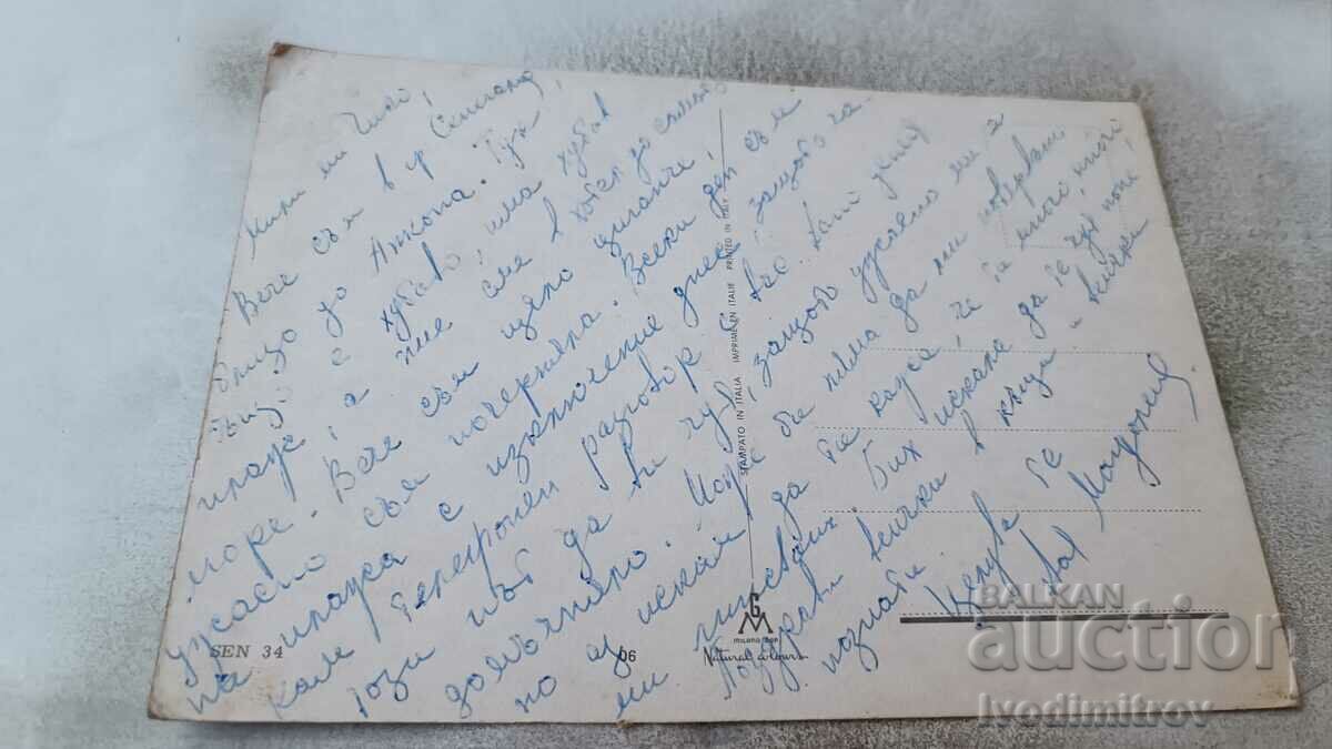 Postcard SENIGALLIA Collage with price 0.75 BGN | € 0.38 Postcard SENIGALLIA Collage with price 0.75 BGN | € 0.38