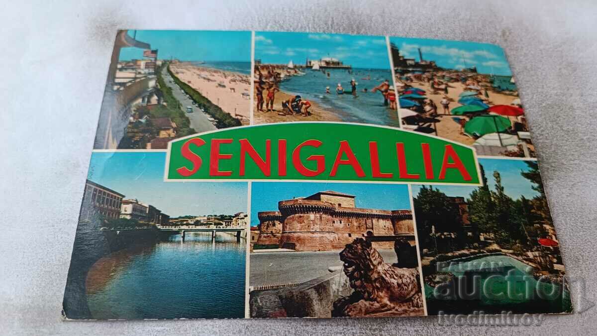 Carte poștală SENIGALLIA Colaj