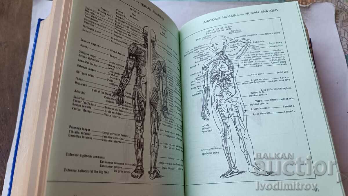 Auction Francais-Anglais English-French Dictionary 1983 Auction Francais-Anglais English-French Dictionary 1983