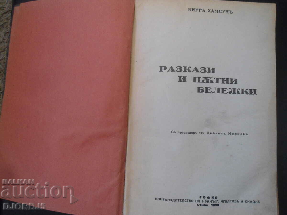 Povești și note de călătorie, Knut Hamsun