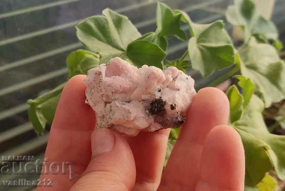 Rhodochrosite with quartz with price 10.00 BGN | € 5.11 Rhodochrosite with quartz with price 10.00 BGN | € 5.11