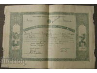 National primary school Varna certificate 1916