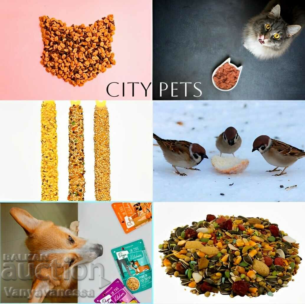 Smile Blissful Beads Energy Bracelet Smile for Beautiful - 6