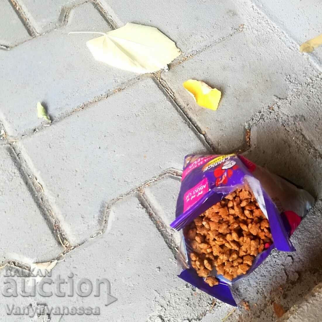 Rose Quartz Energy Healing Bracelet Semi Precious Stone - 7 Rose Quartz Energy Healing Bracelet Semi Precious Stone - 7