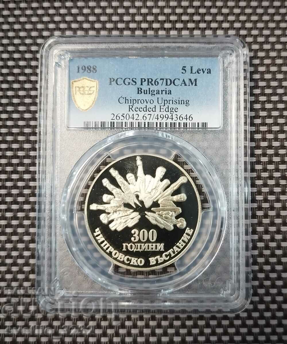 5 лева 1988 Чипровско въстание 67 DCAM PCGS