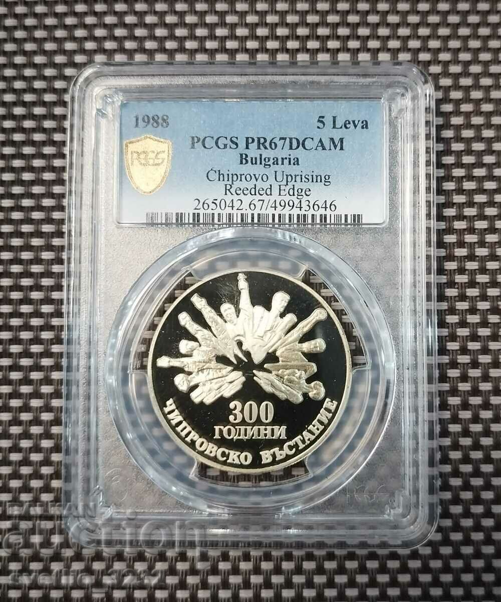 5 лева 1988 Чипровско въстание 67 DCAM PCGS 5 лева 1988 Чипровско въстание 67 DCAM PCGS
