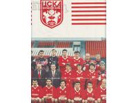 old CSKA football calendar for 1995