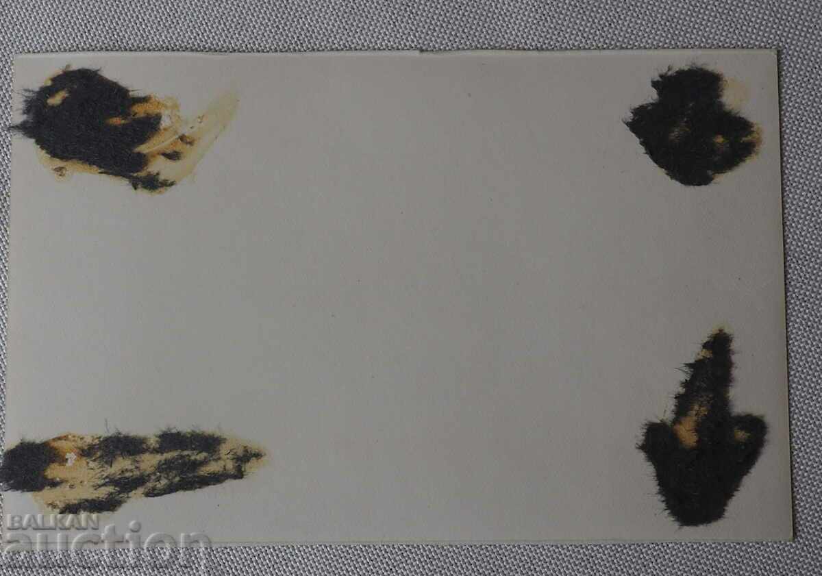 UNUSED CARD VELINGRAD GENERAL APPEARANCE 1962 STATED with price 3.50 BGN | € 1.79