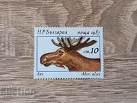 Bulgaria Fauna Deer 1987