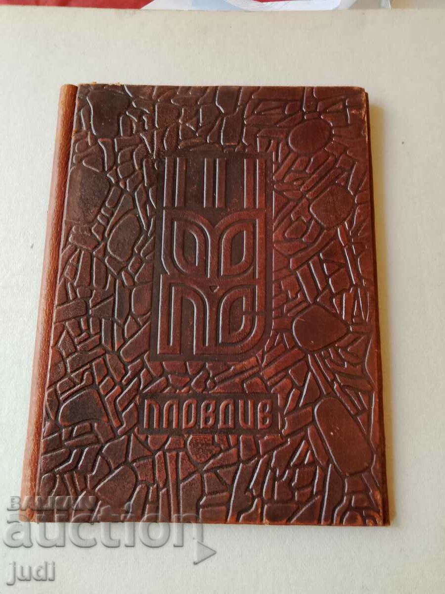 Plovdiv social folder natural leather