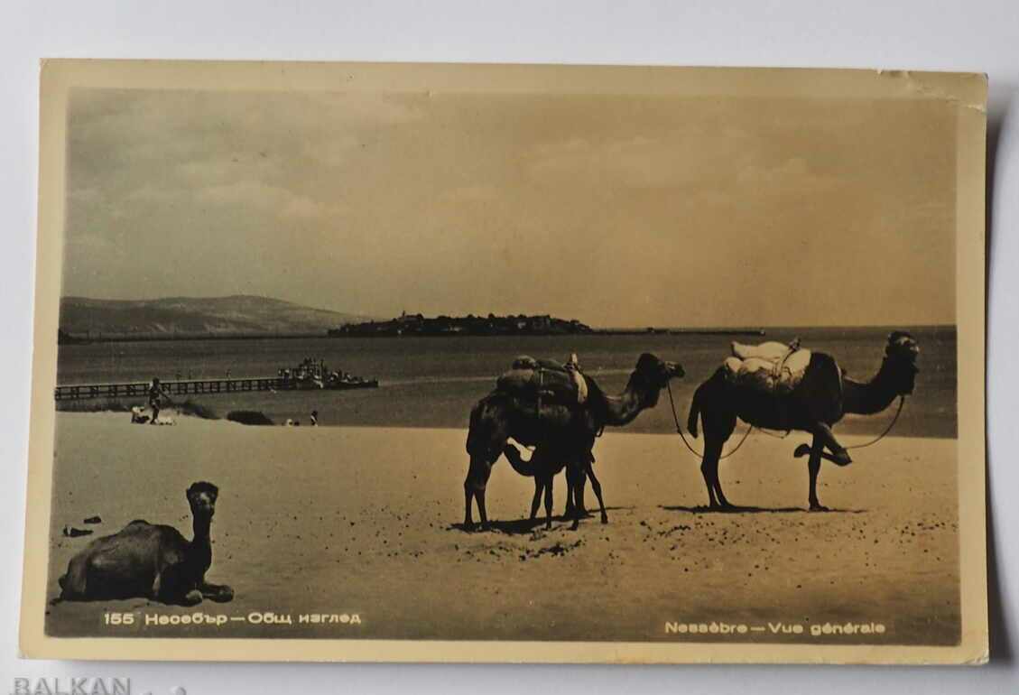 UNUSED CARD NESEBAR GENERAL VIEW CAMELS - 1962