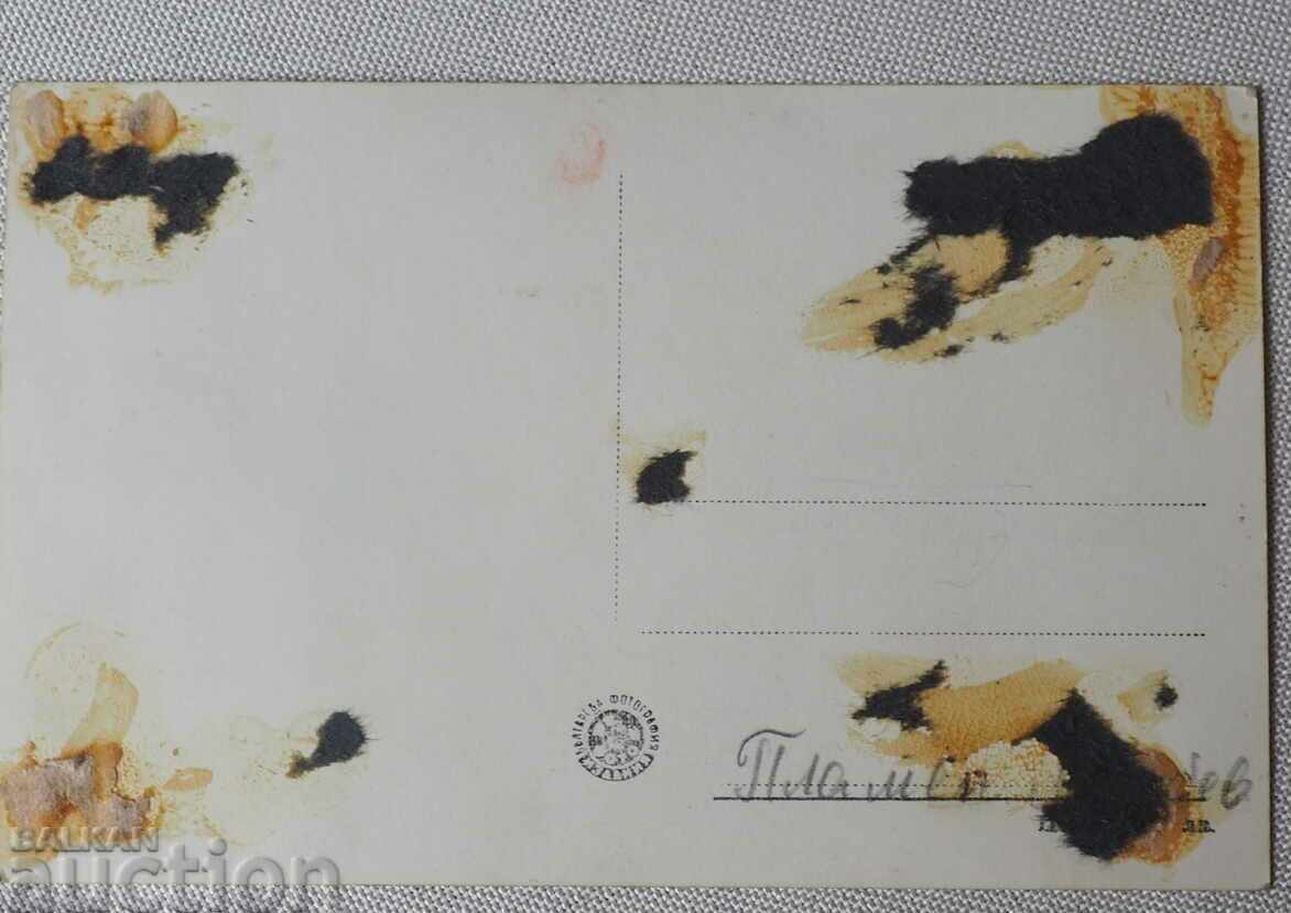 CARD HAZELNUT GENERAL VIEW RASPBERRY CONFECTIONERY before 1962 with price 4.87 BGN | € 2.49 CARD HAZELNUT GENERAL VIEW RASPBERRY CONFECTIONERY before 1962 with price 4.87 BGN | € 2.49