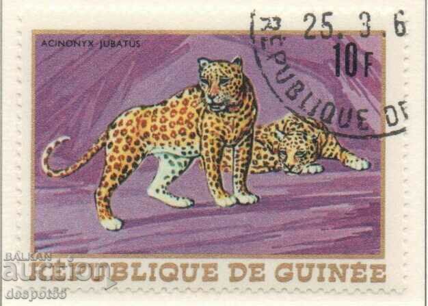 1968. Rep. Guinea. Leopard or cheetah. CURIOSITY!