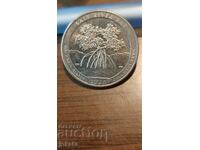 un sfert de frumos America