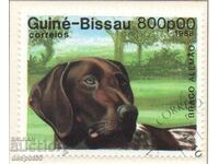 1988. Guinea Bissau. It's not the dog's fault... CURIOSITY!