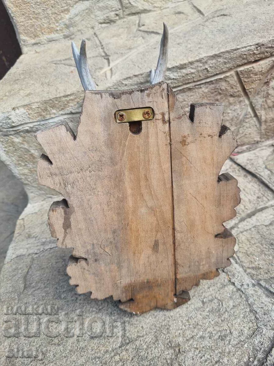 An old trophy. Horns. Sarndak - 5 An old trophy. Horns. Sarndak - 5