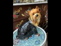 Large porcelain figure of a Yorkshire Terrier / Yorkie. #589