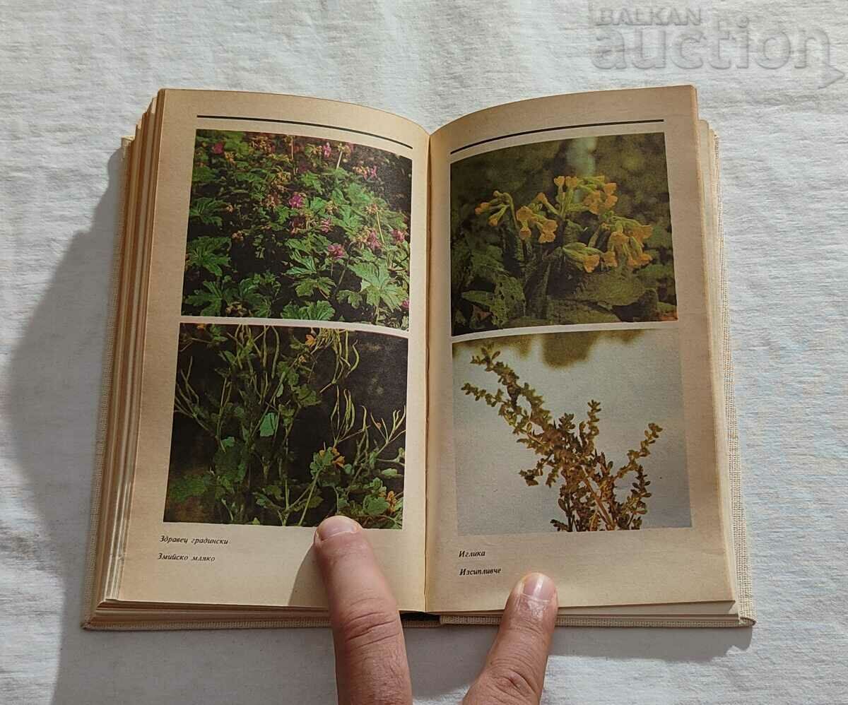 HERBS REFERENCE G. NESHEV I. LANJEV - 5