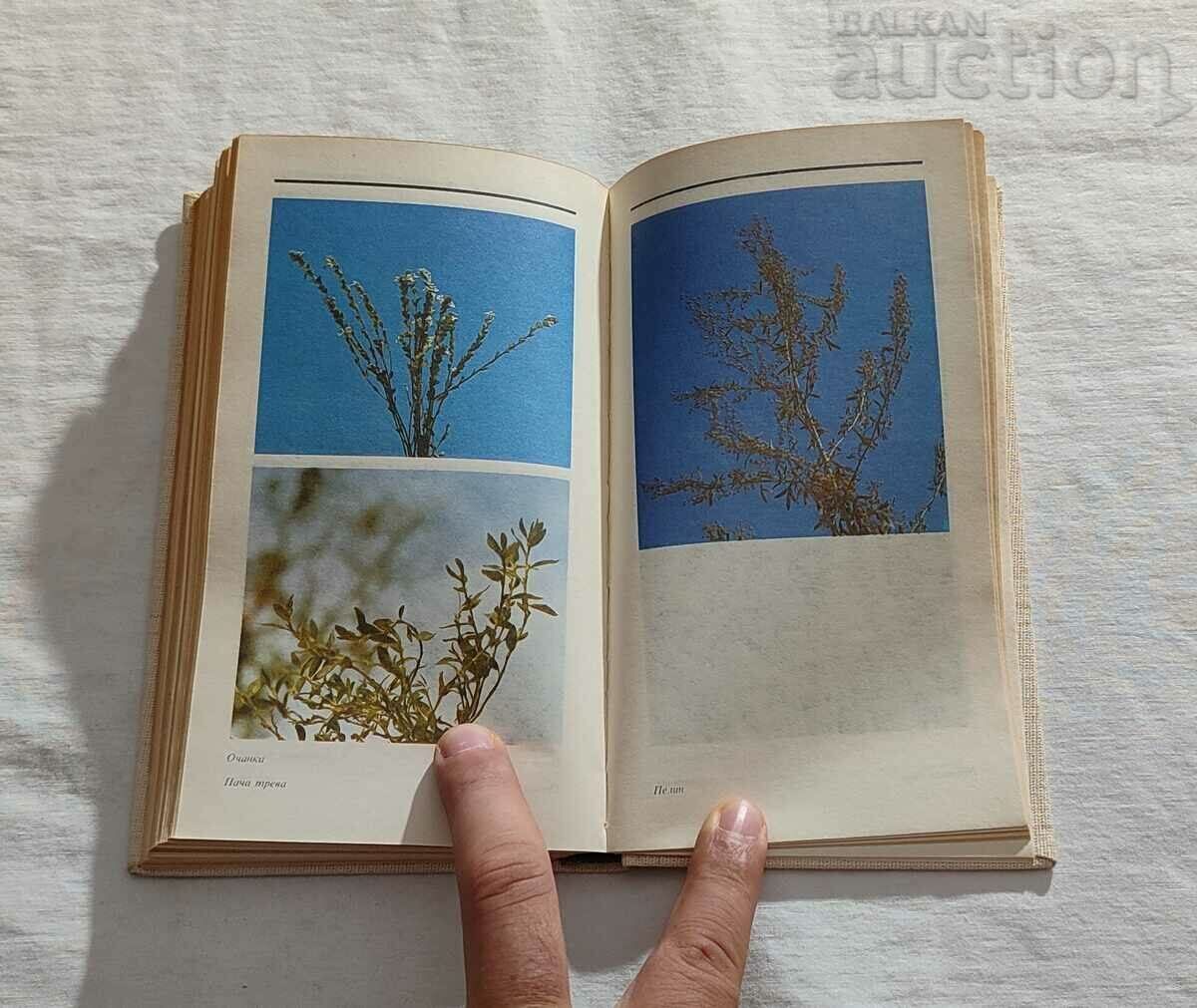 HERBS REFERENCE G. NESHEV I. LANJEV - 6