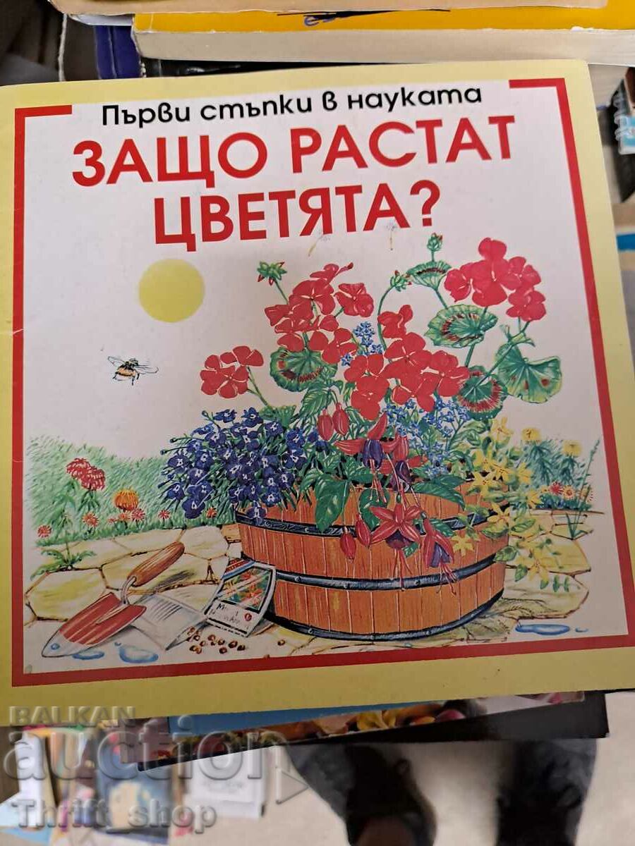 Защо растат цветята?