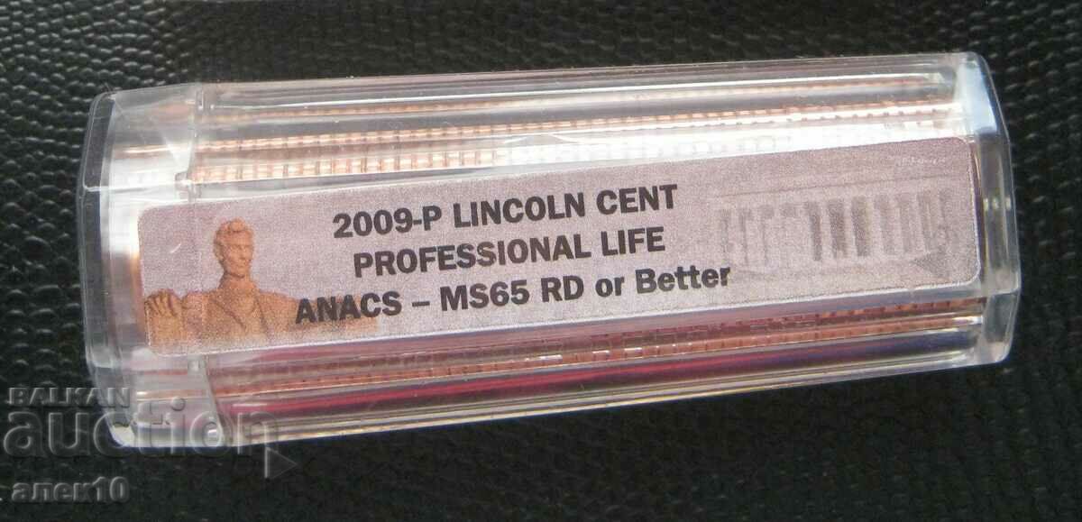 2009-P LINCOLN CENT VIAȚA PROFESIONALĂ