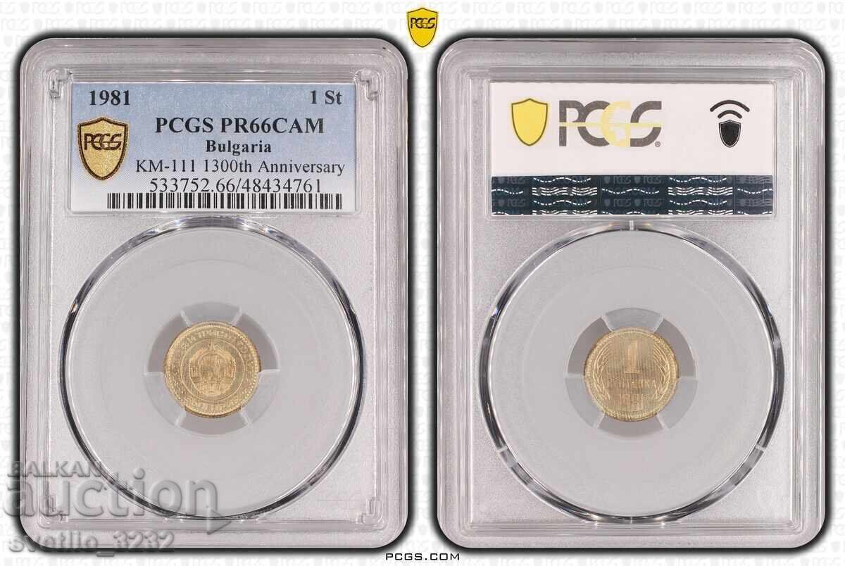 Set 1981 Matte Gloss PCGS - 7 Set 1981 Matte Gloss PCGS - 7