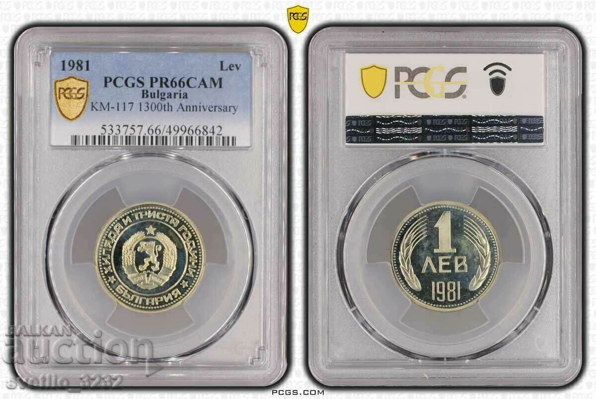 Сет 1981 Мат гланц PCGS