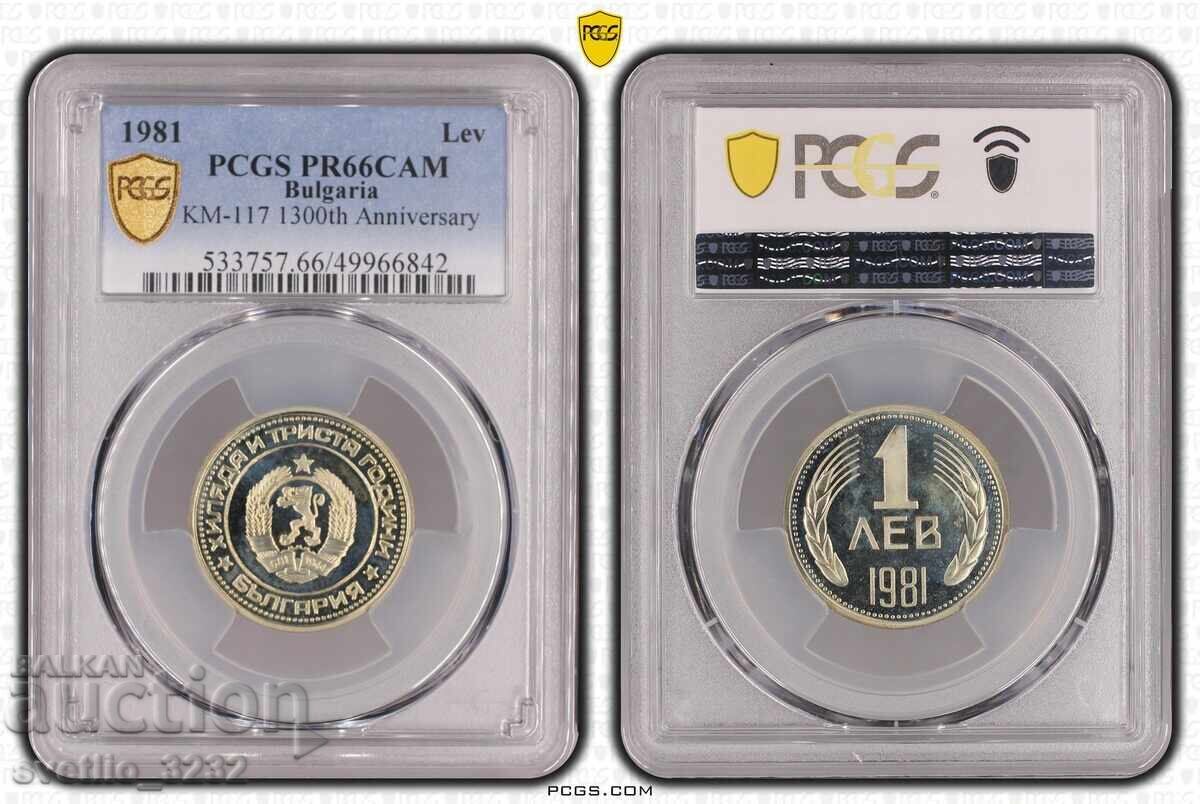 Set 1981 Matte Gloss PCGS