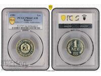 Set 1981 Matte Gloss PCGS