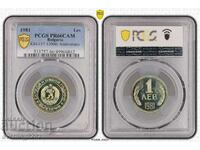 Set 1981 Matte Gloss PCGS