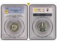 Set 1981 Matte Gloss PCGS