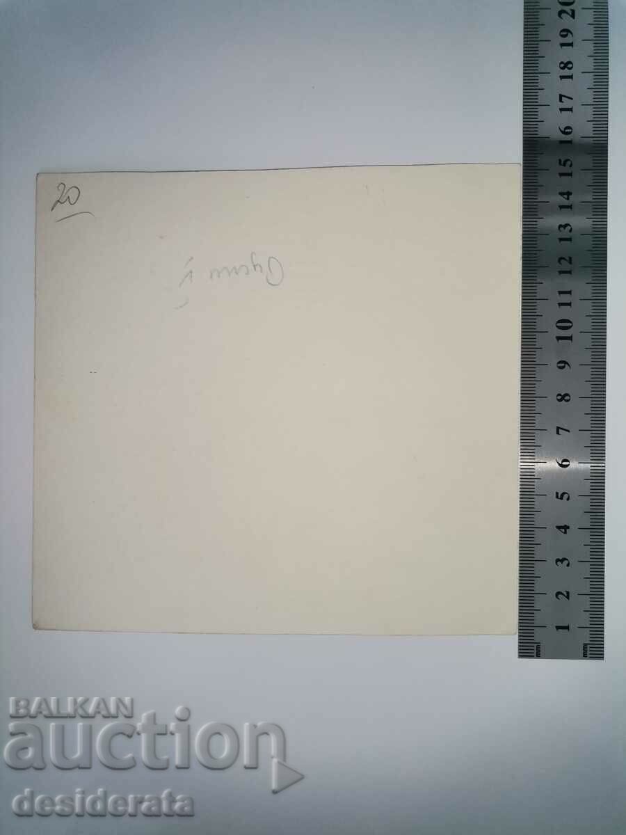 Original illustrations by Boris Dimovski with price 40.00 BGN | € 20.45