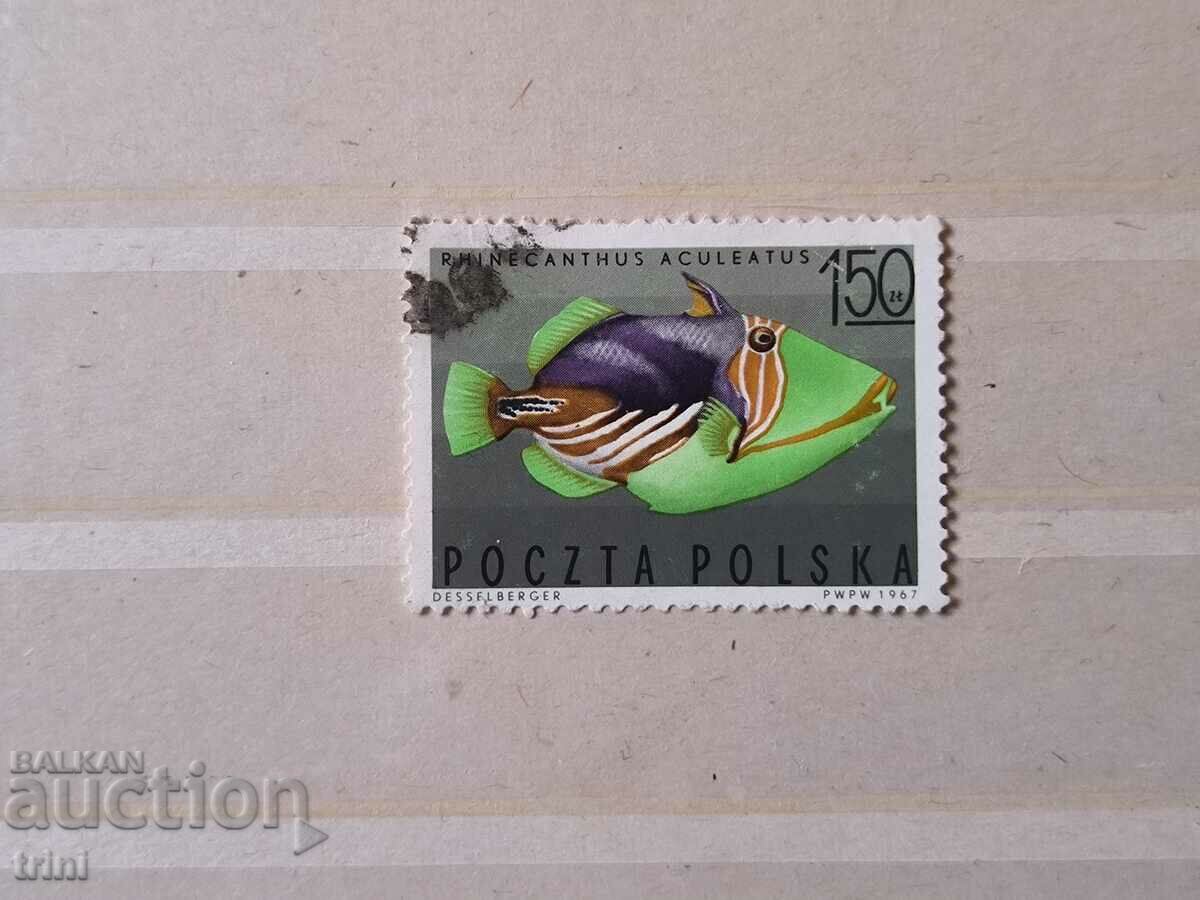 Poland 1967 Tropical marine fish