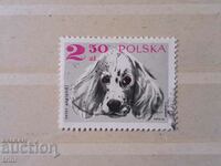 Poland 1969 dogs