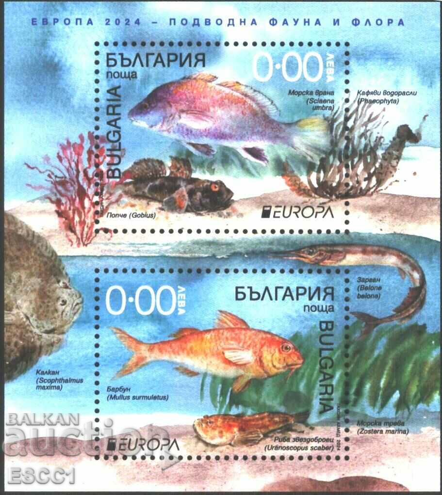 Pure souvenir block Europe SEPT Pisces 2024 from Bulgaria