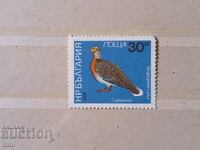 Bulgaria Fauna Birds Pigeons 1984