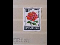 Bulgaria 1985 Bulgarian roses