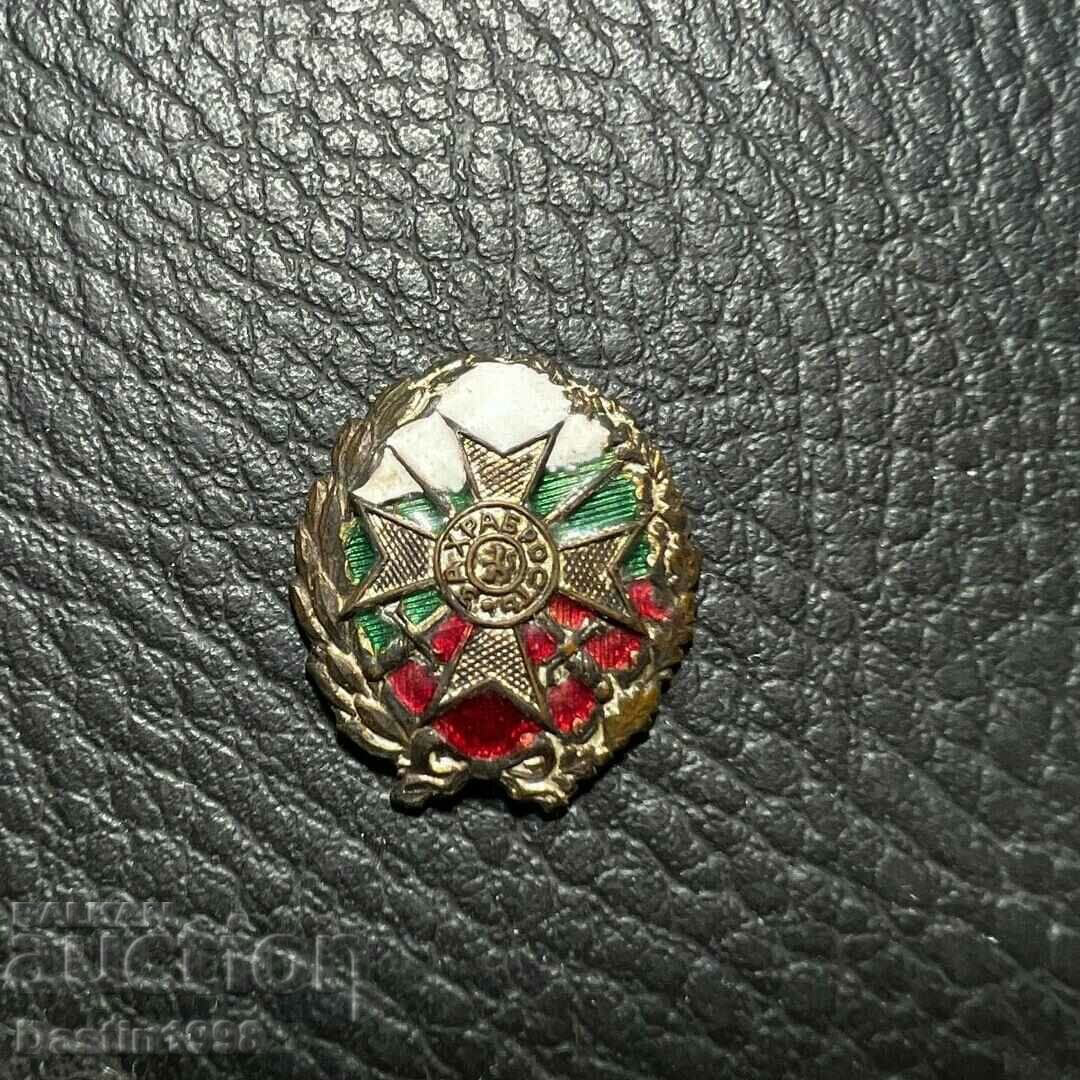 RARE COURAGE BADGE MINIATURE