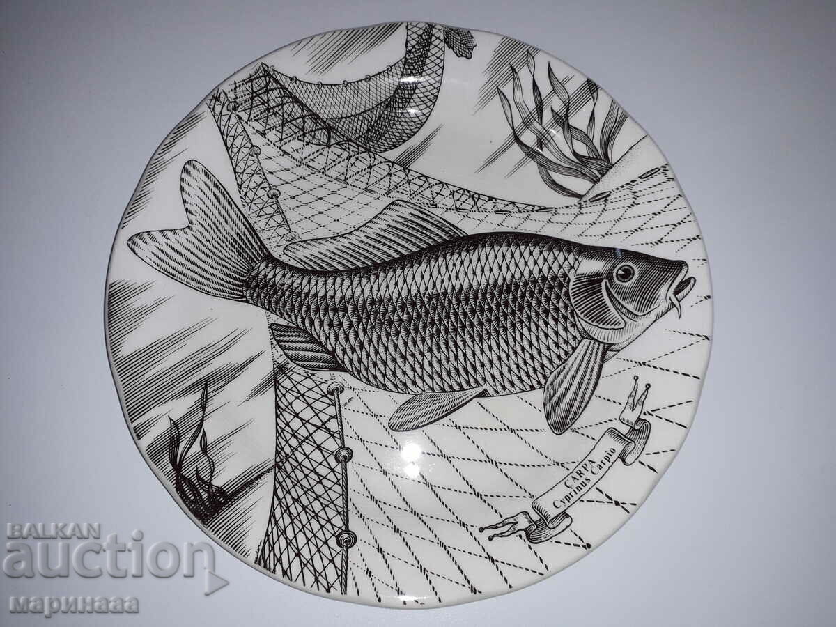 PLATE. 24 CM PLATE. 24 CM