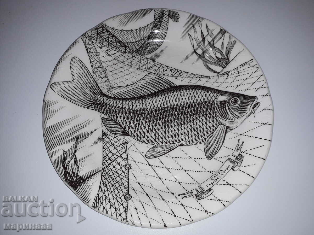 PLATE. 24 CM PLATE. 24 CM