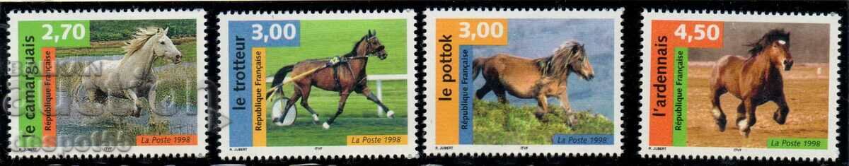 1998. France. Horses.