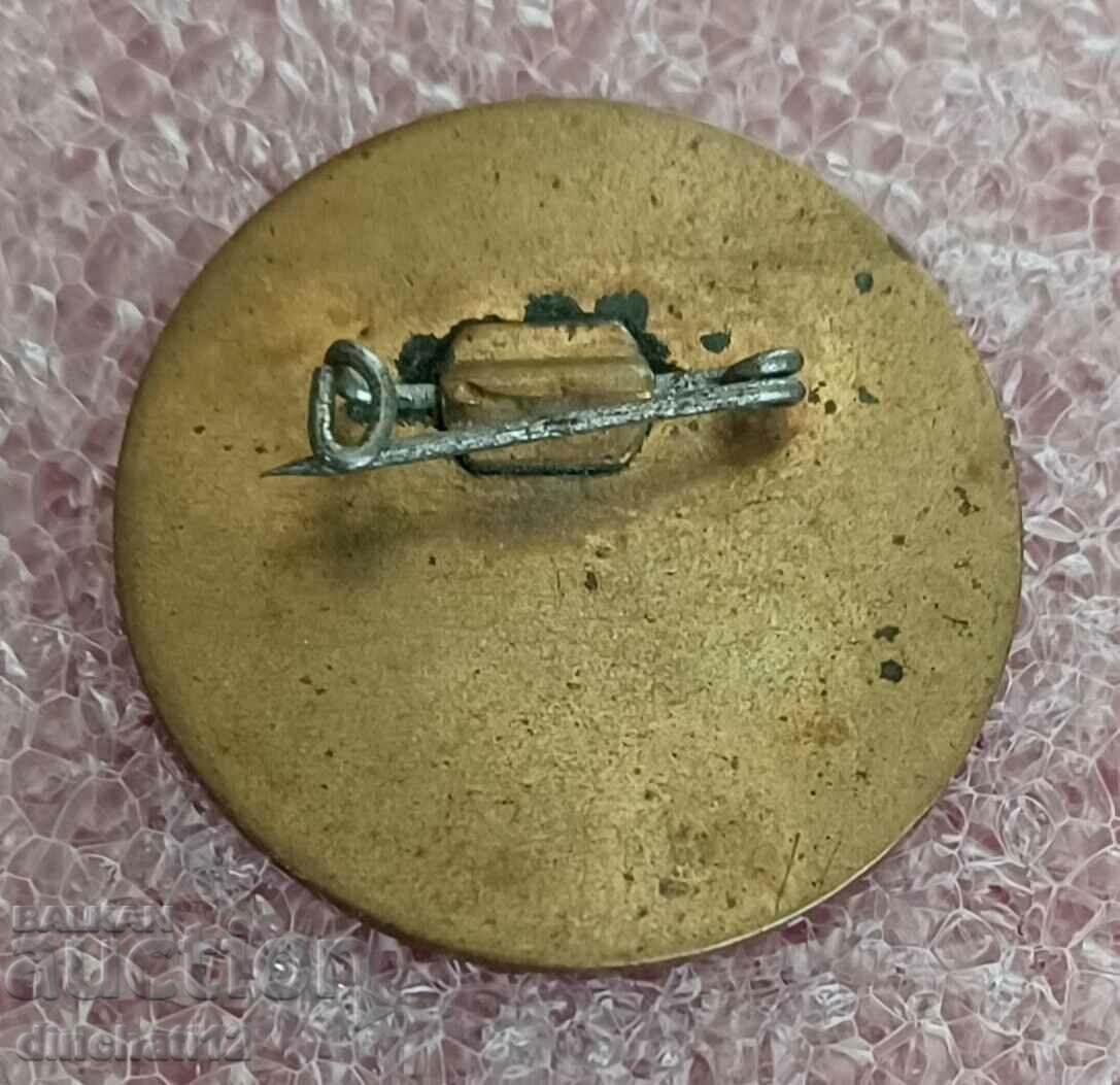 Un semn rar. FMJD BULGARIA 1974 cu preț 24.00 BGN | € 12.27