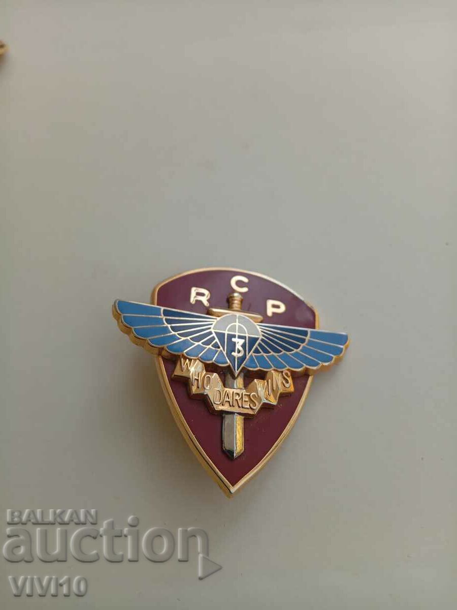 Gorgeous France Military Badge