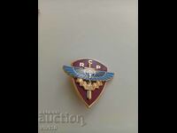 Gorgeous France Military Badge