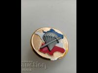 Gorgeous France Military Badge