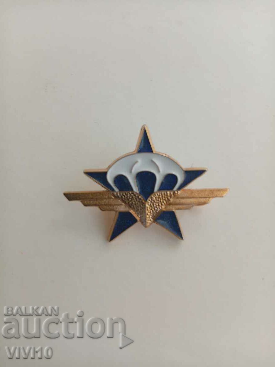 Gorgeous France Military Badge