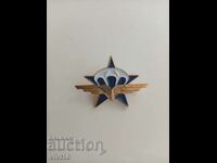 Gorgeous France Military Badge