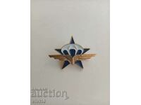 Разкошна военна значка Франция