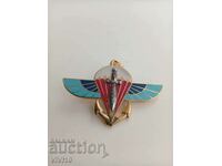 Πανέμορφο στρατιωτικό σήμα της Γαλλίας