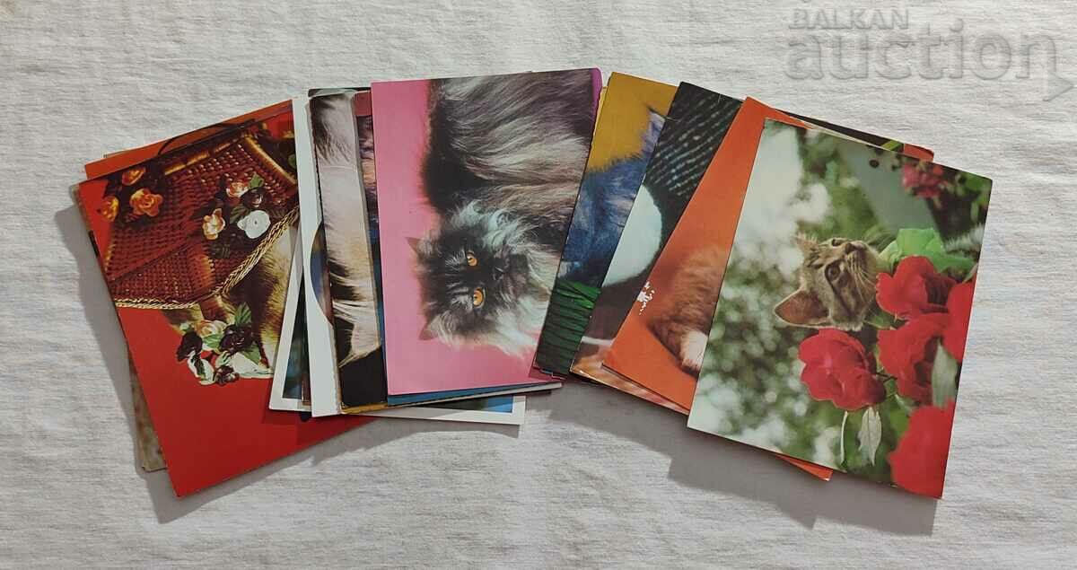 KITTENS POST CARDS LOT 23 NUMBERS